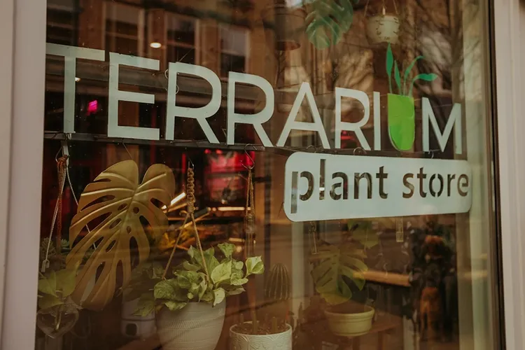 Terrarium Plant Store