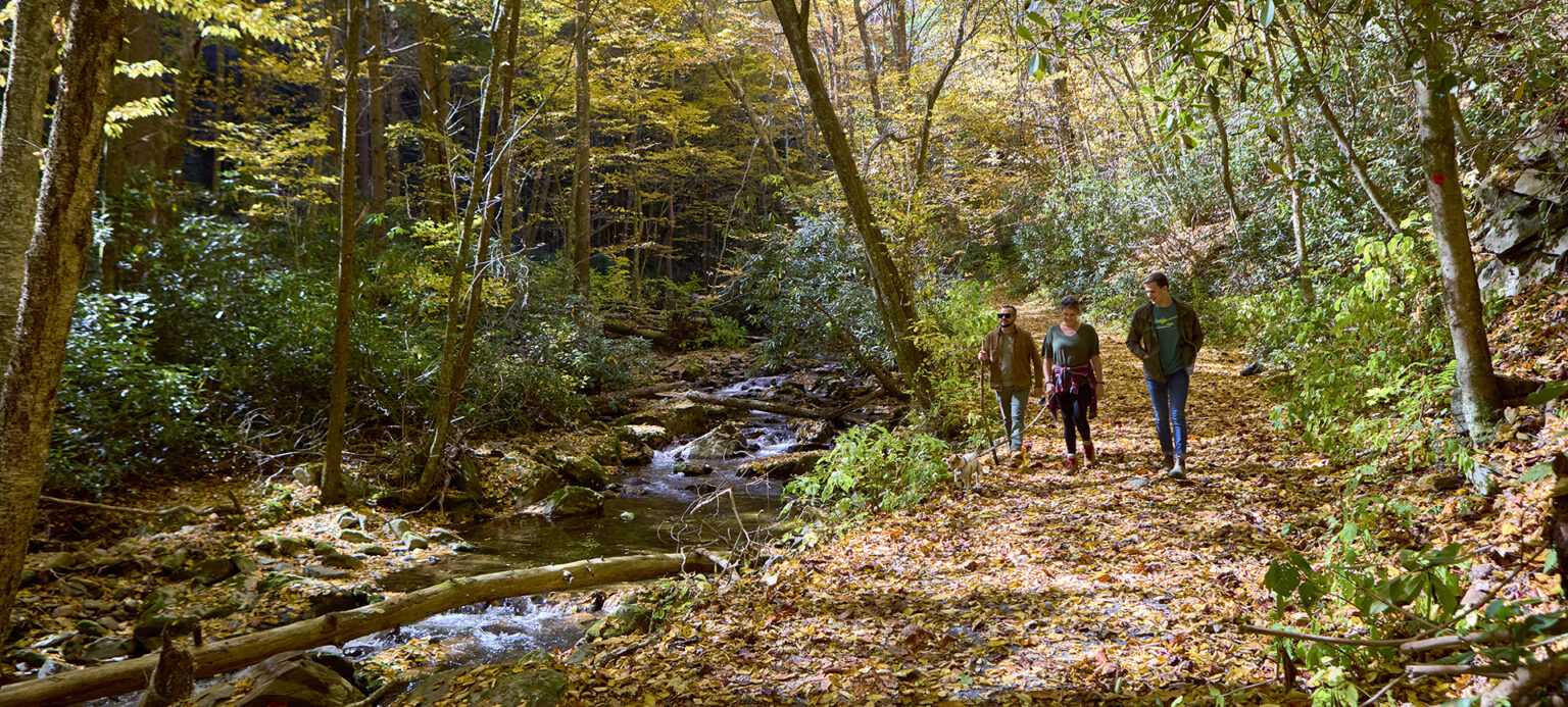 Lamar Alexander Rocky Fork State Park Johnson City Convention And Visitor Bureau 4293