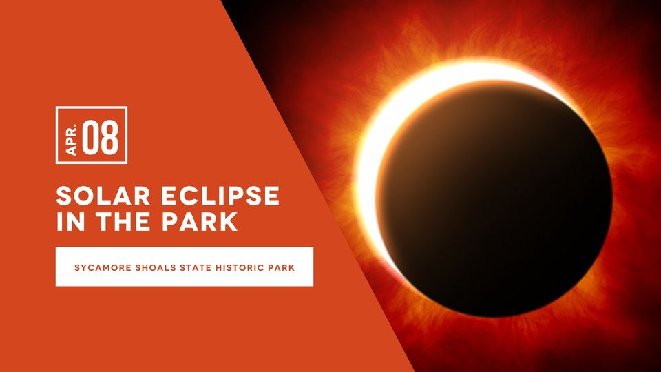 Solar Eclipse in the Park