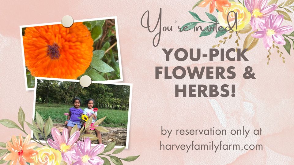 You-Pick Flowers & Herbs