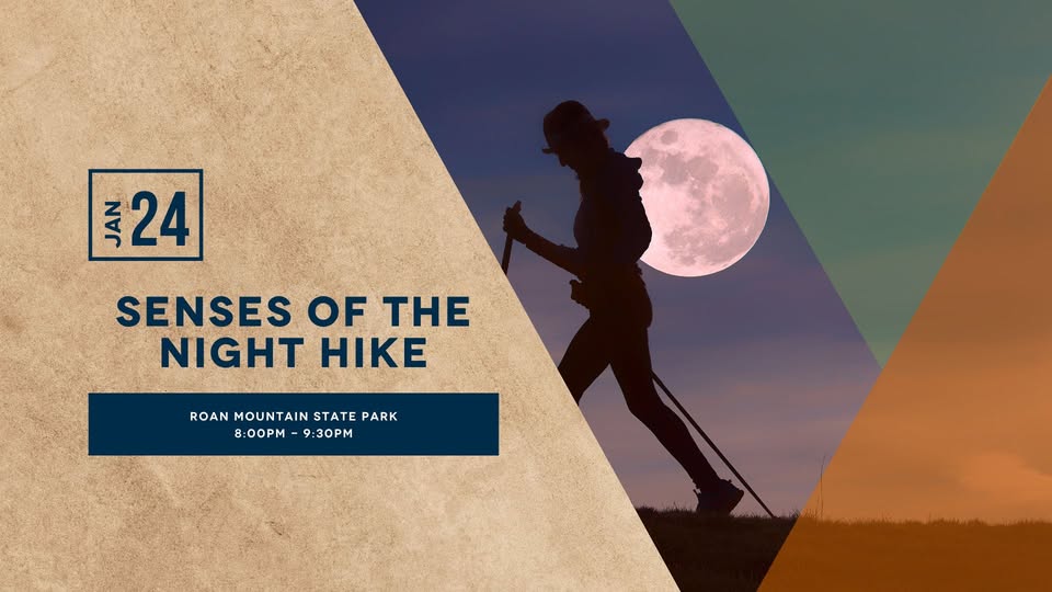 Senses of the Night Hike