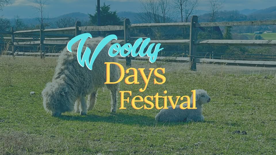 Woolly Days: Spring Heritage Celebration