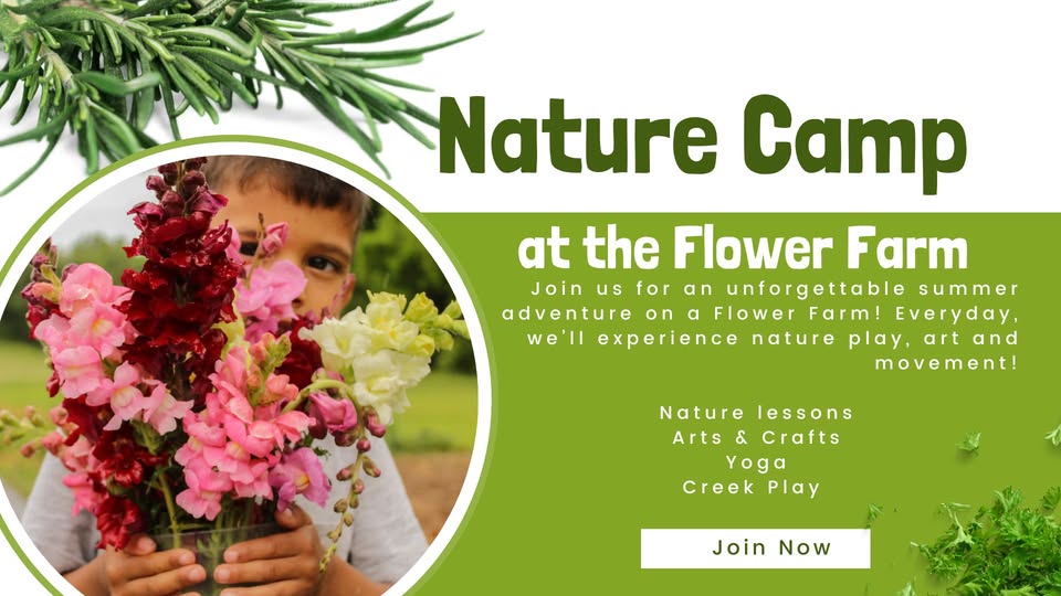 Nature Camp at Harvey Family Farm