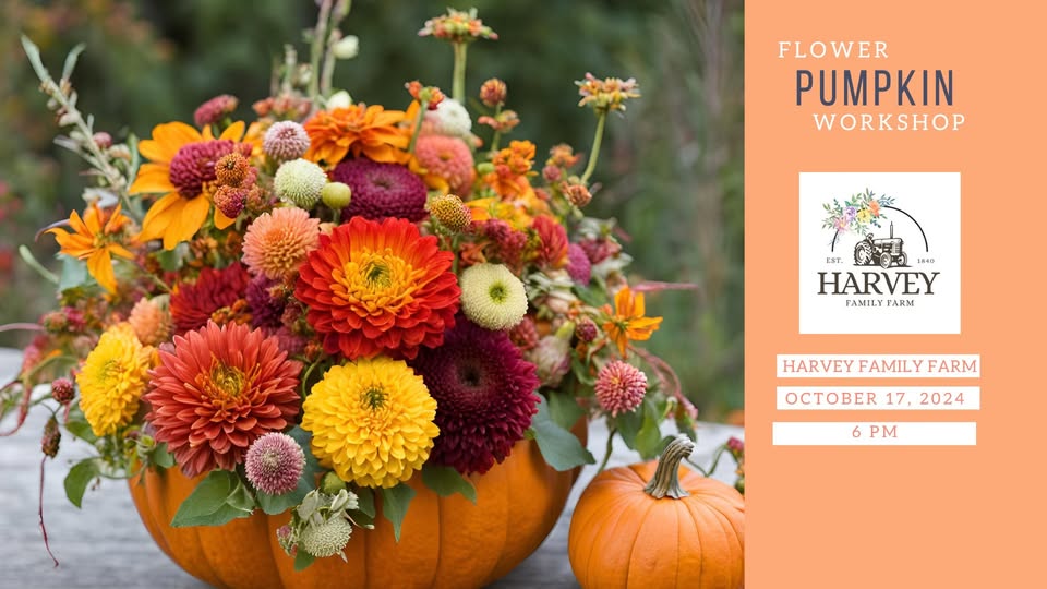 Pumpkin & Petals: A Fall Flower Arrangement Workshop