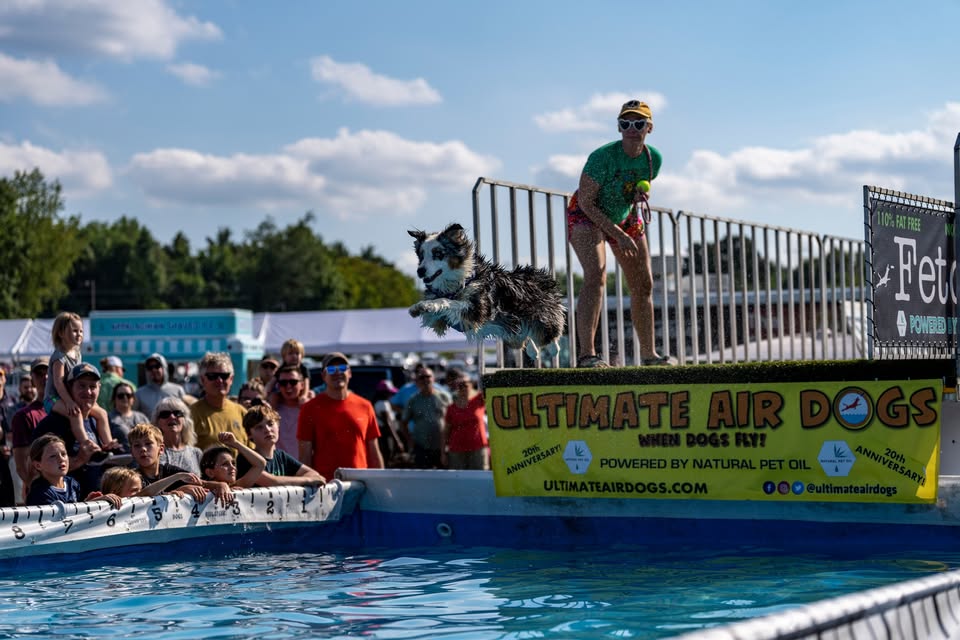 Ultimate Air Dogs