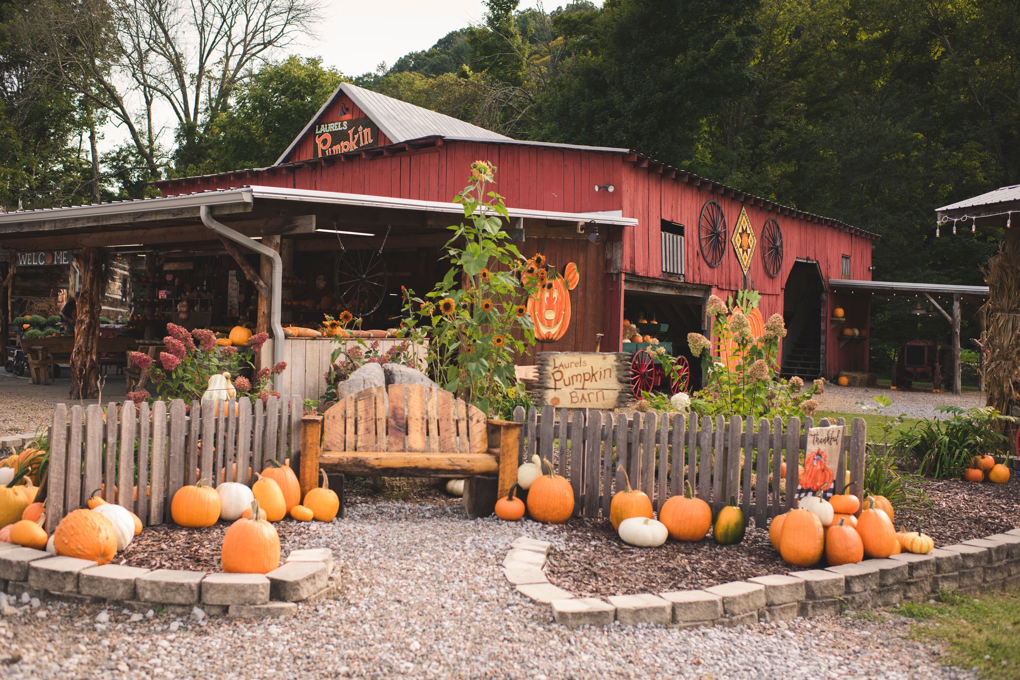 Laurels Pumpkin Barn