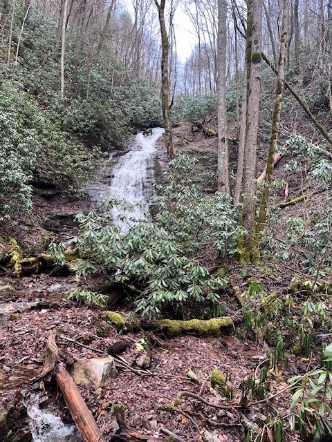 Hidden Falls End of the Year Hike