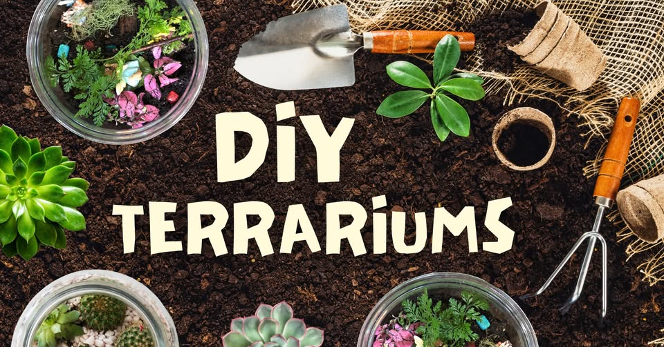 DIY Terrariums