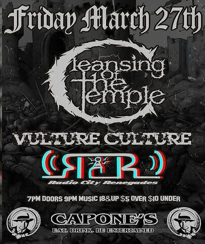 Cleansing of the Temple | Vulture Culture | Radio City Renegades