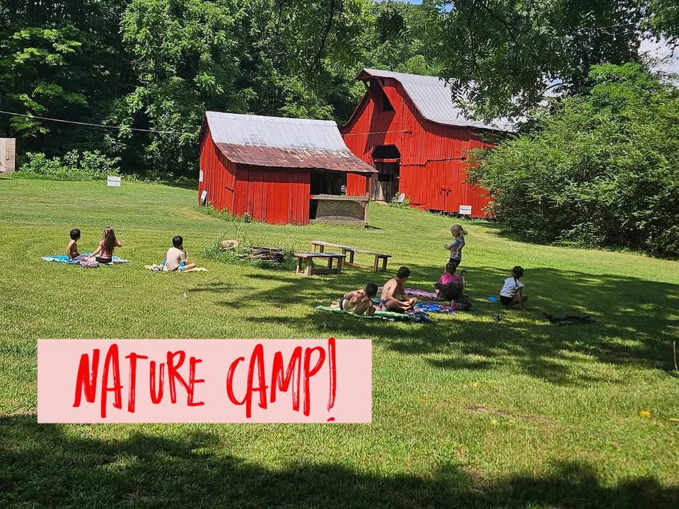 Nature Camp at the Harvey Family Farm