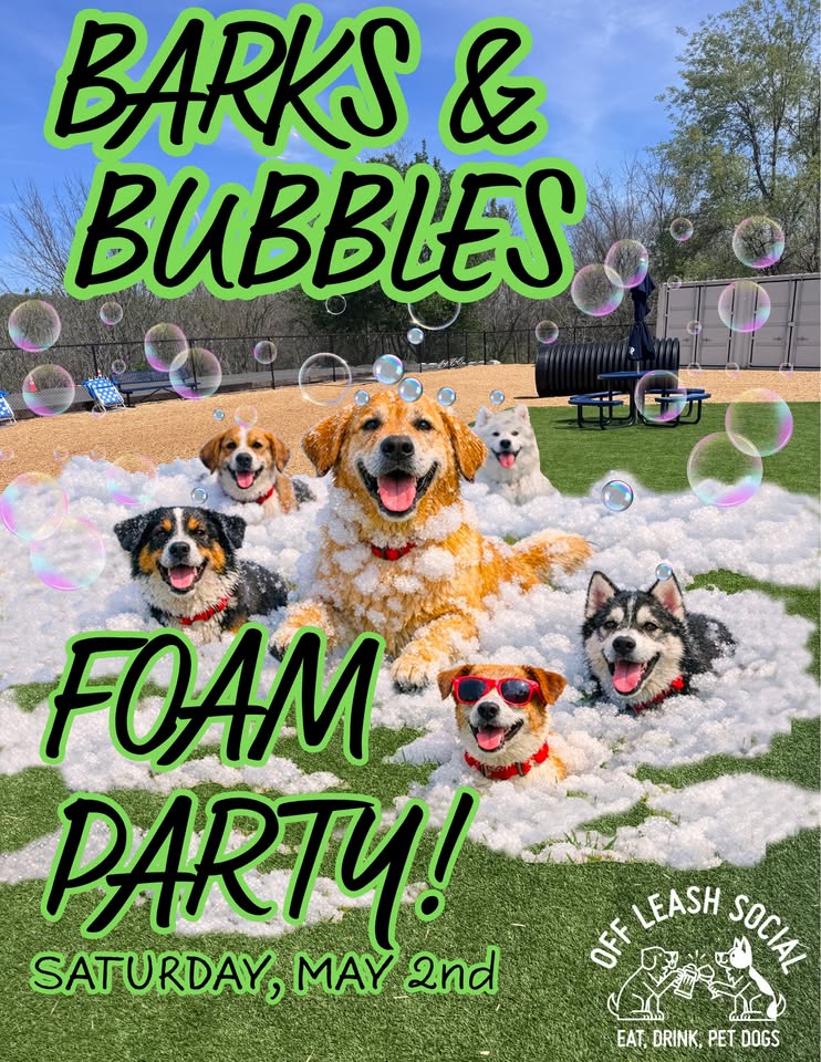 Foam Party at Off Leash Social