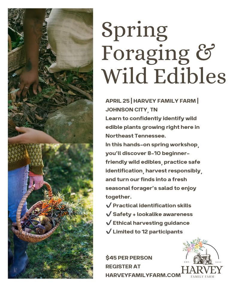 Spring Foraging and Wild Edibles