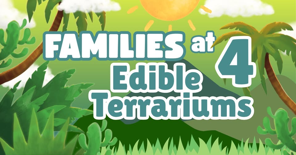 Families at 4: Edible Terrariums