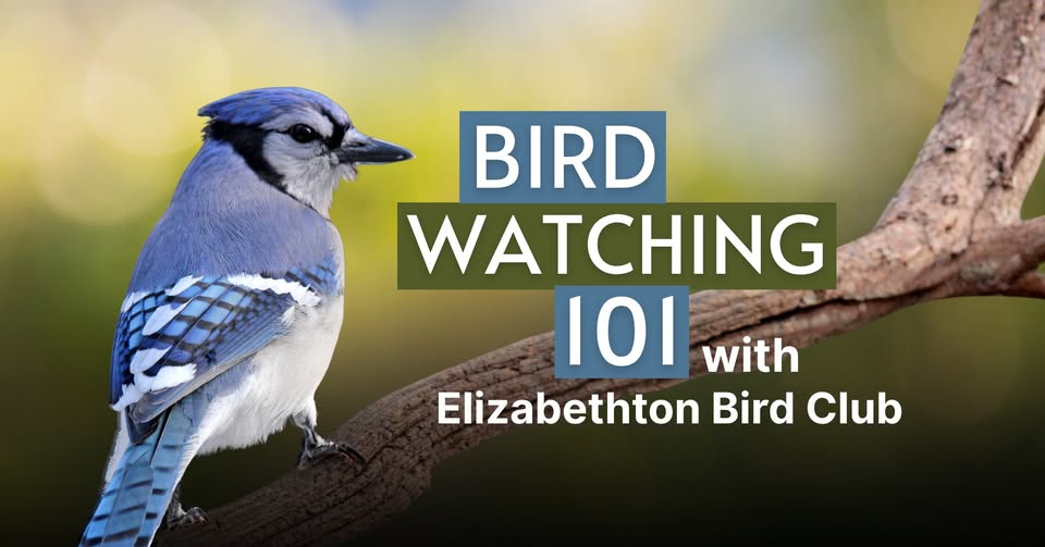 Bird Watching 101 with the Elizabethton Bird Club
