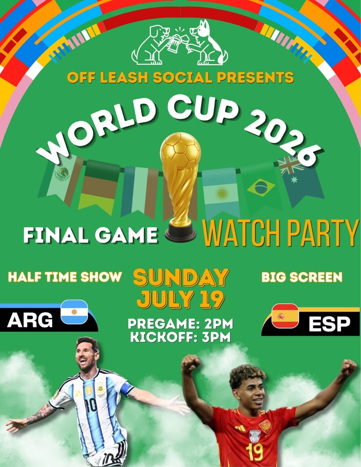 World Cup Final Watch Party