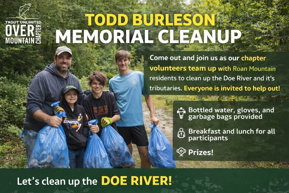 Todd Burleson’s Memorial Cleanup