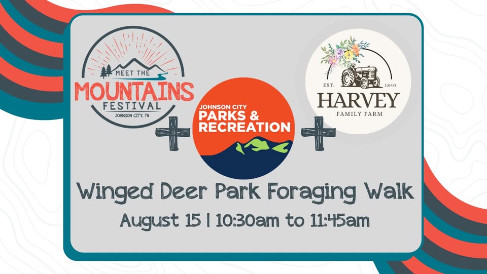 Winged Deer Park Foraging Walk