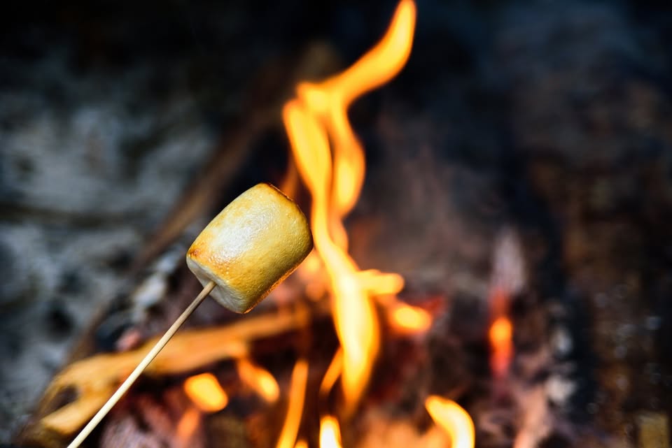 Bear Tails and S’mores